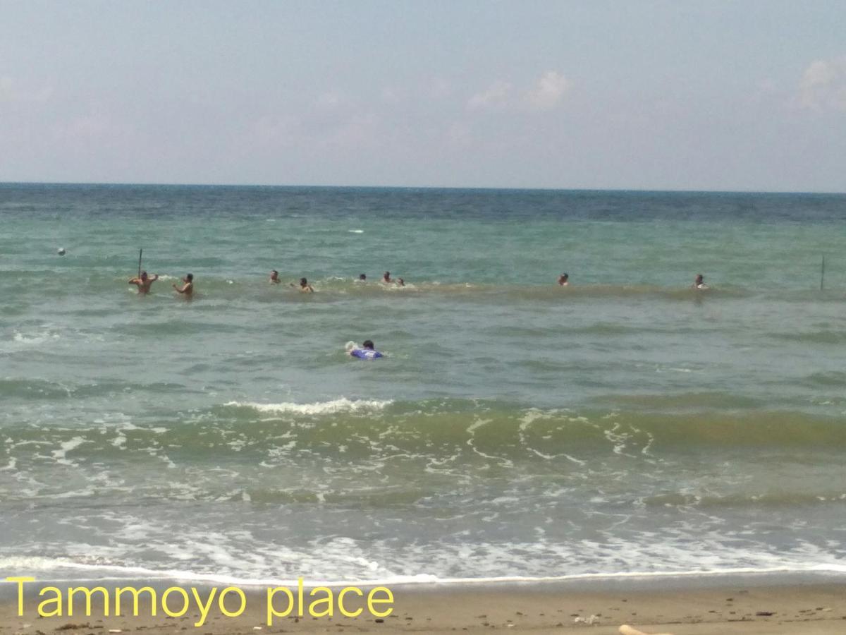 Tammoyo Place كودات المظهر الخارجي الصورة